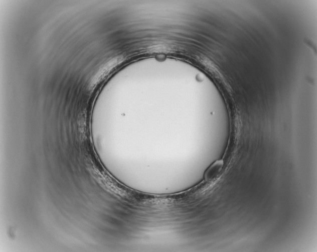 X0000102250930200808151814