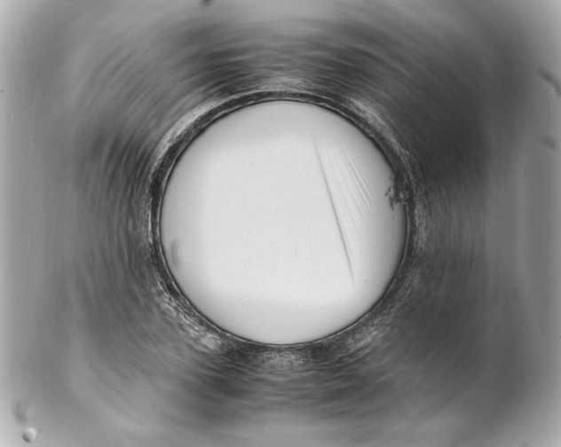 X0000102250931200808151814