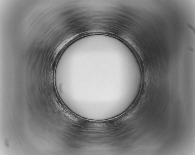 X0000102250933200808151814