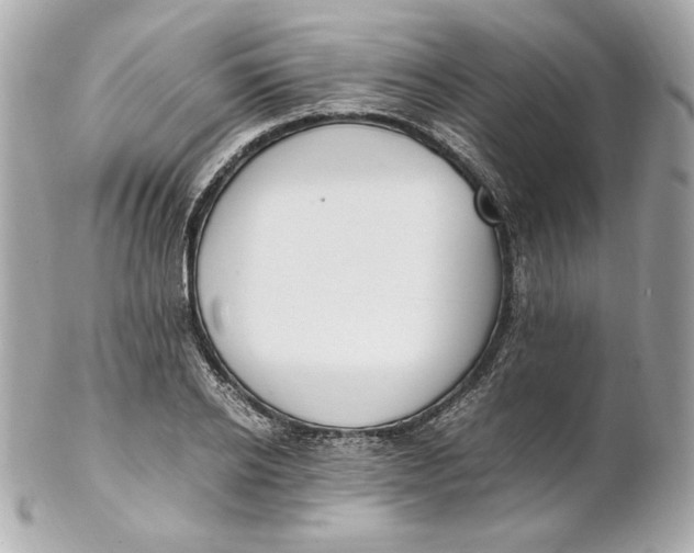 X0000102250934200808151814