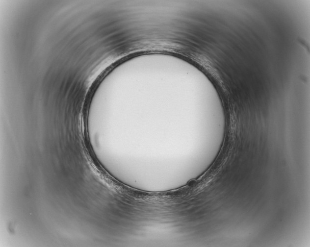 X0000102250936200808151814