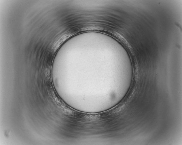 X0000102250937200808151814