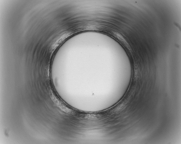 X0000102250938200808151814