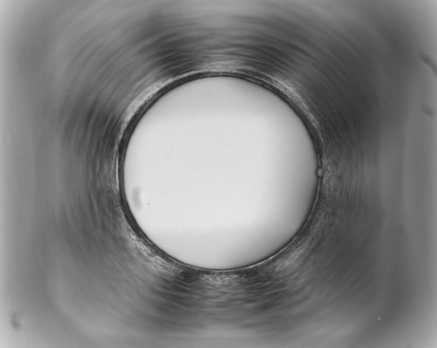 X0000102250939200808151814