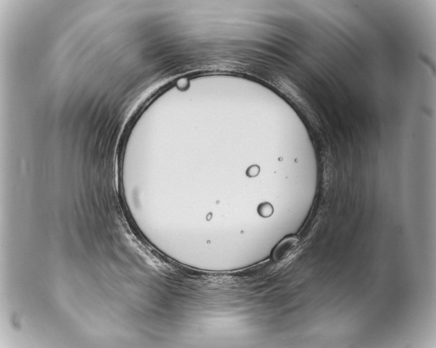 X0000102250940200808151814