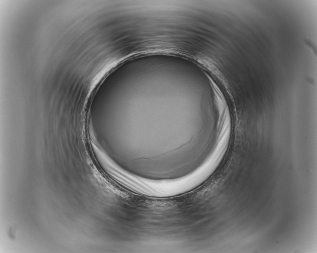 X0000102250941200808151814