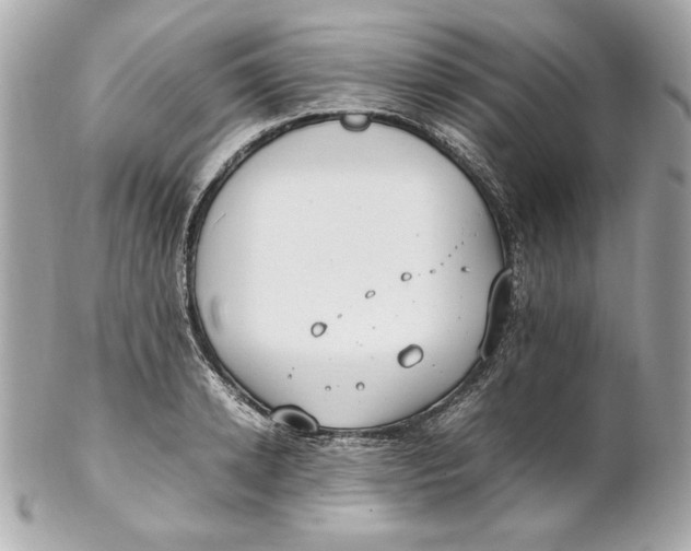 X0000102250942200808151814