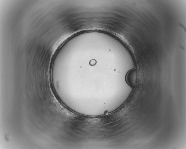 X0000102250943200808151814