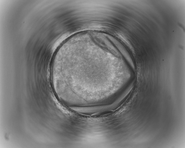 X0000102250944200808151814