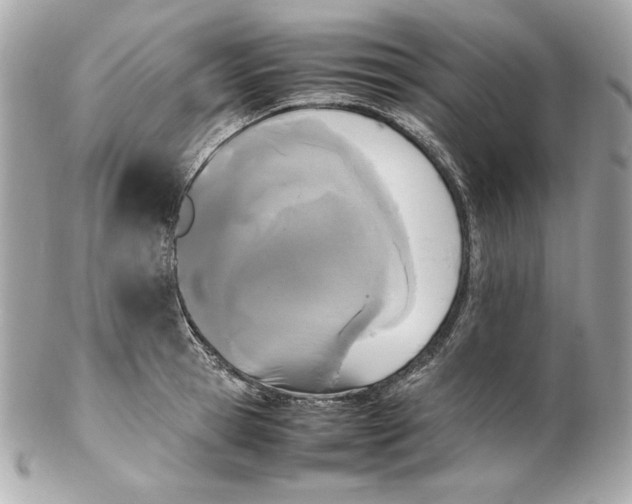 X0000102250945200808151814