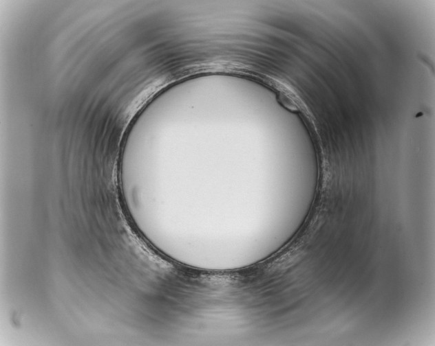 X0000102250946200808151814