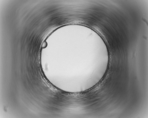 X0000102250948200808151814