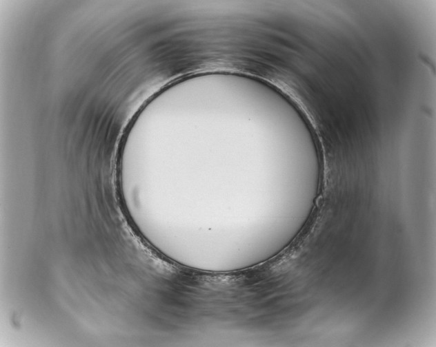 X0000102250949200808151814