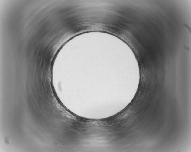 X0000102250950200808151814