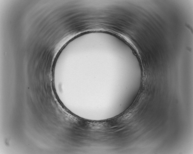 X0000102250951200808151814