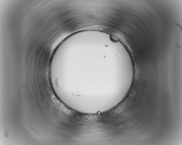 X0000102250952200808151814