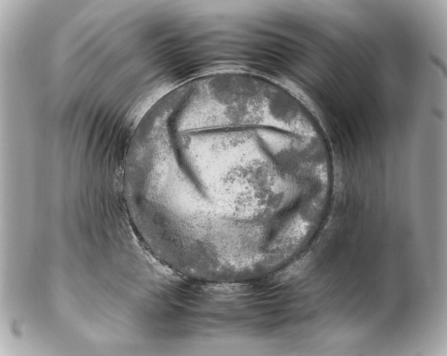 X0000102250953200808151814