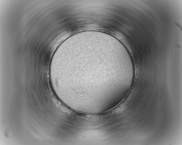 X0000102250954200808151814