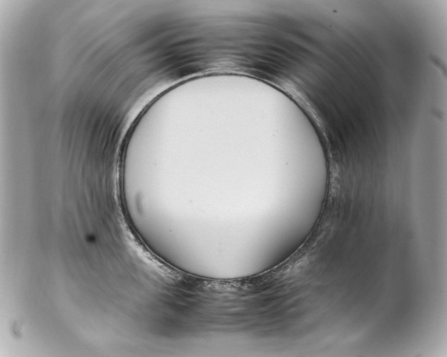 X0000102250955200808151814