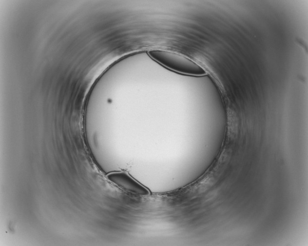 X0000102250956200808151814