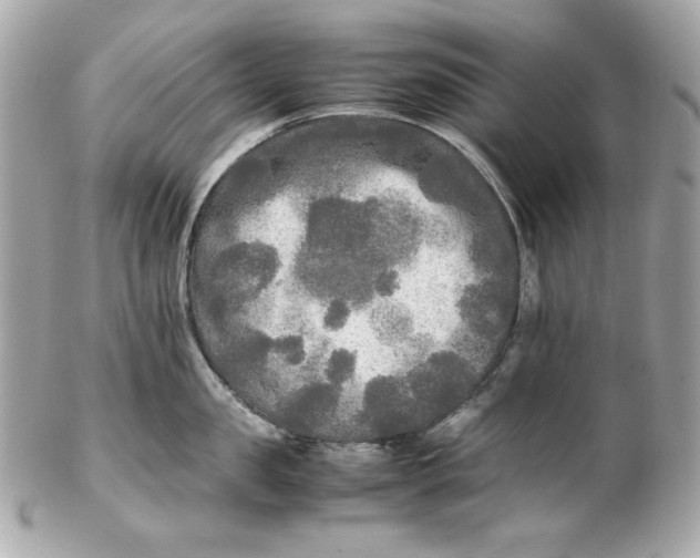 X0000102250957200808151814