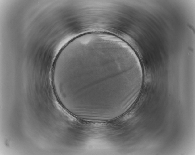 X0000102250958200808151814