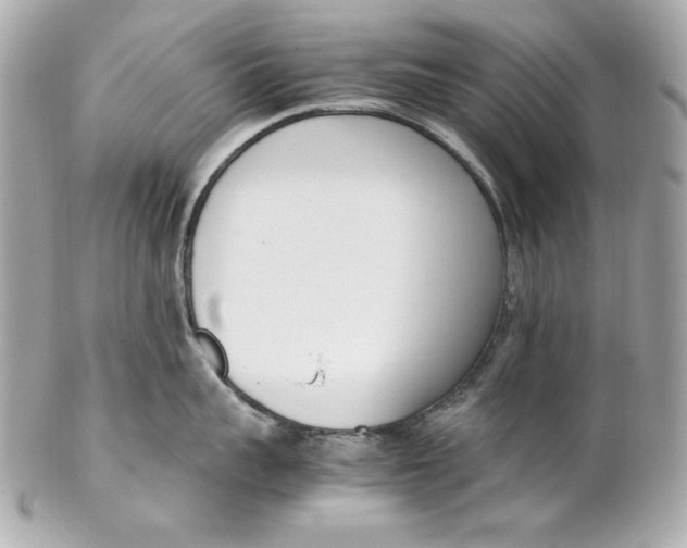 X0000102250959200808151814