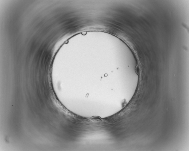 X0000102250960200808151814