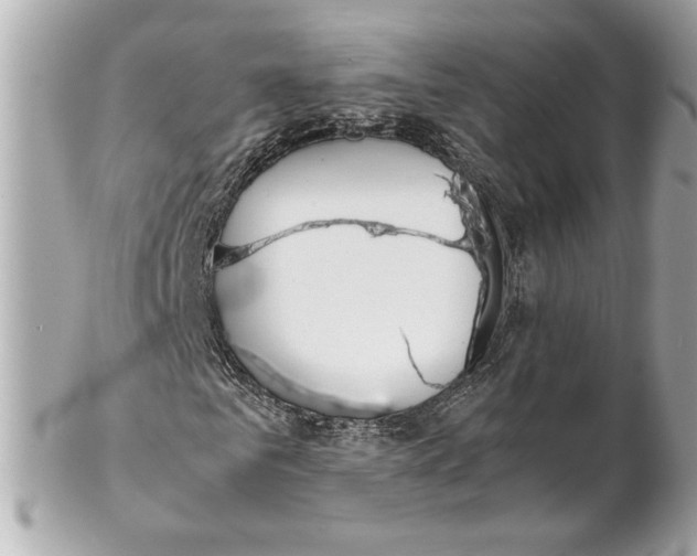 X0000102250961200808151813