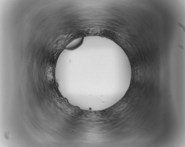 X0000102250962200808151813