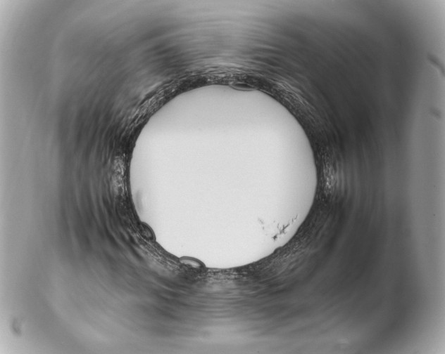 X0000102250964200808151813