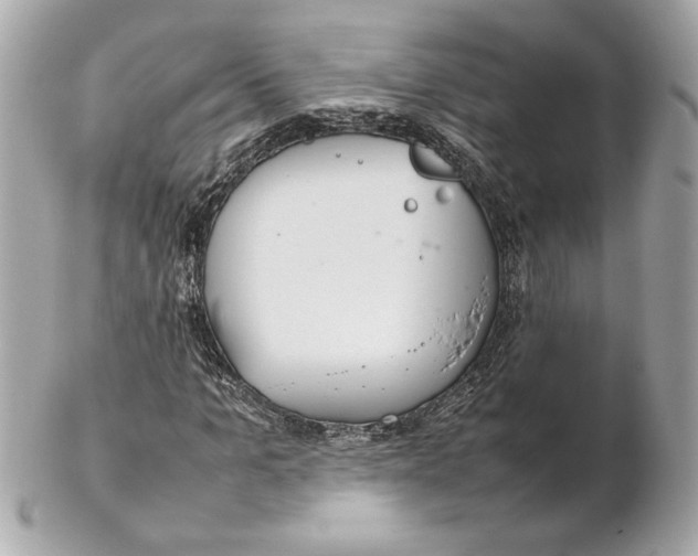 X0000102250965200808151813