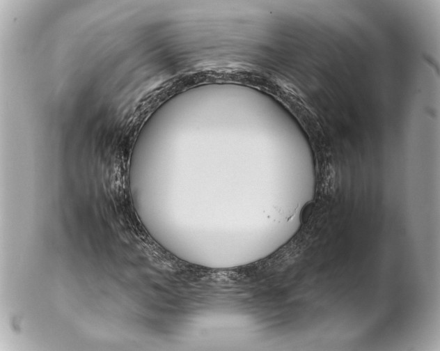 X0000102250966200808151813