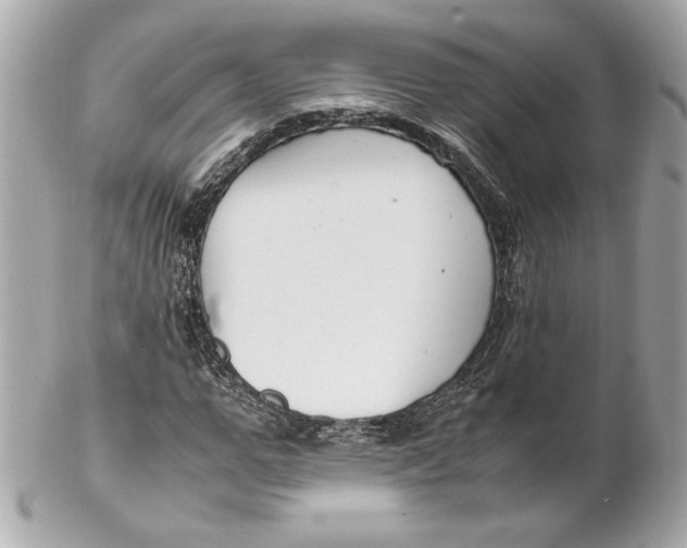 X0000102250967200808151813