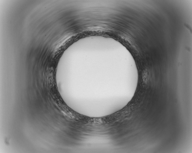 X0000102250968200808151813