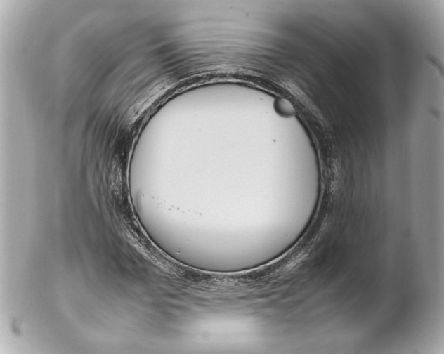 X0000102250969200808151813