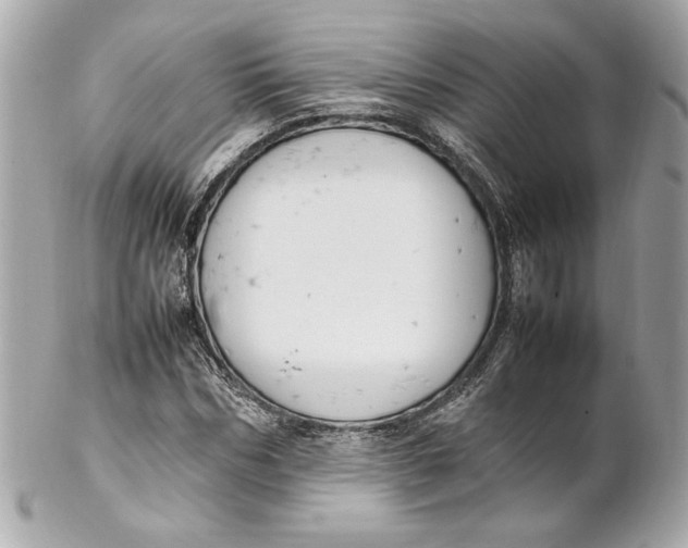 X0000102250970200808151813