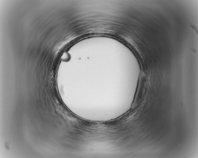 X0000102250971200808151813