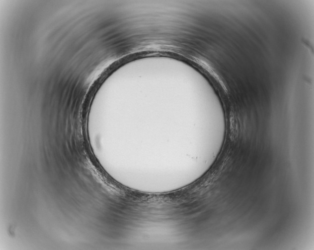 X0000102250972200808151813