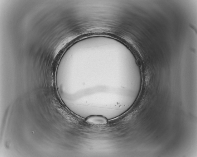 X0000102250973200808151813