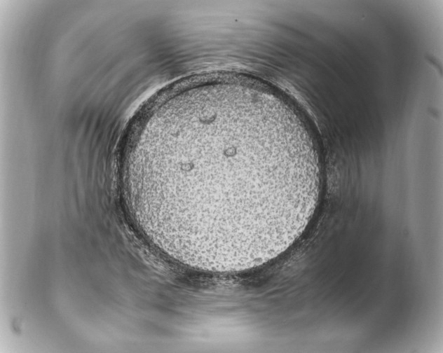 X0000102250975200808151813