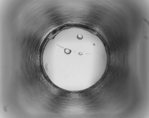 X0000102250976200808151813