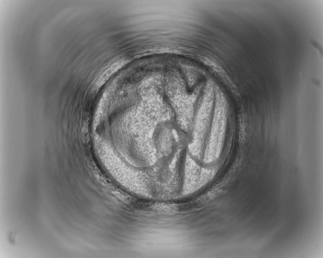 X0000102250977200808151813