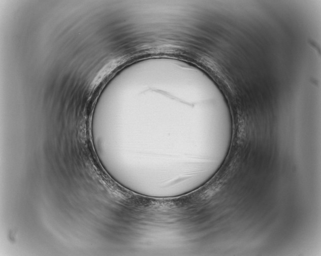 X0000102250978200808151813