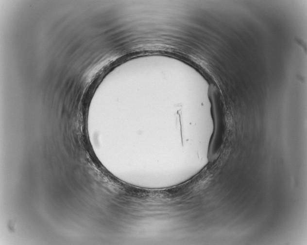 X0000102250979200808151813