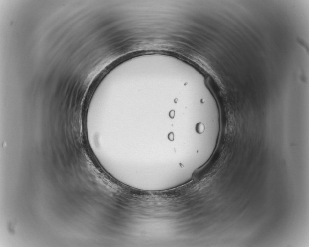 X0000102250980200808151813