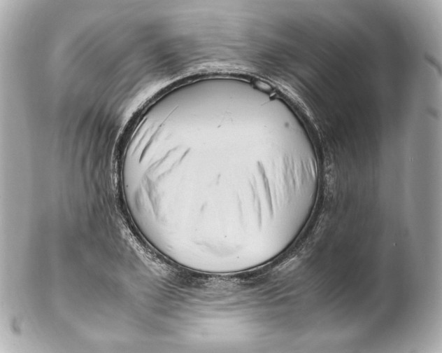 X0000102250981200808151813