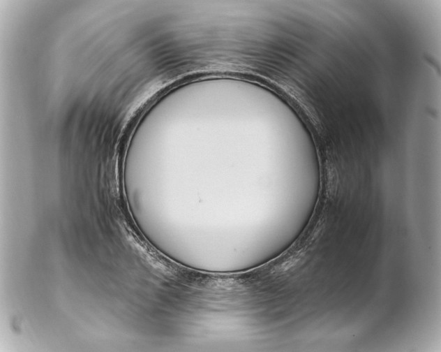 X0000102250982200808151813