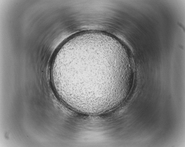 X0000102250983200808151813