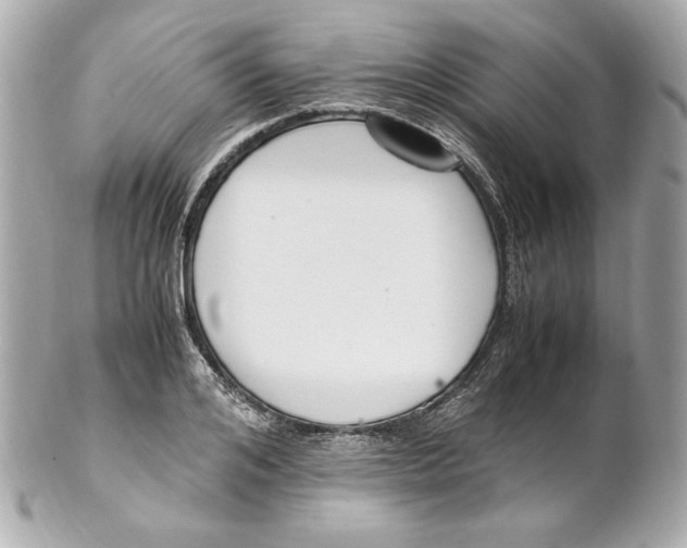 X0000102250984200808151813